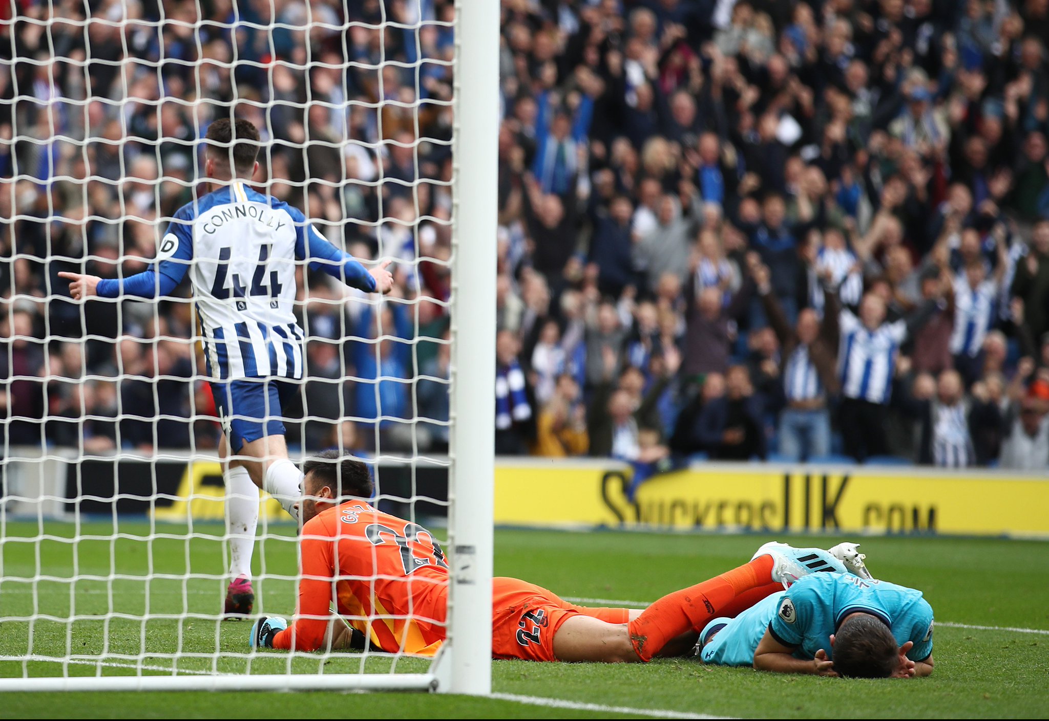 会的多项目 会的多项目