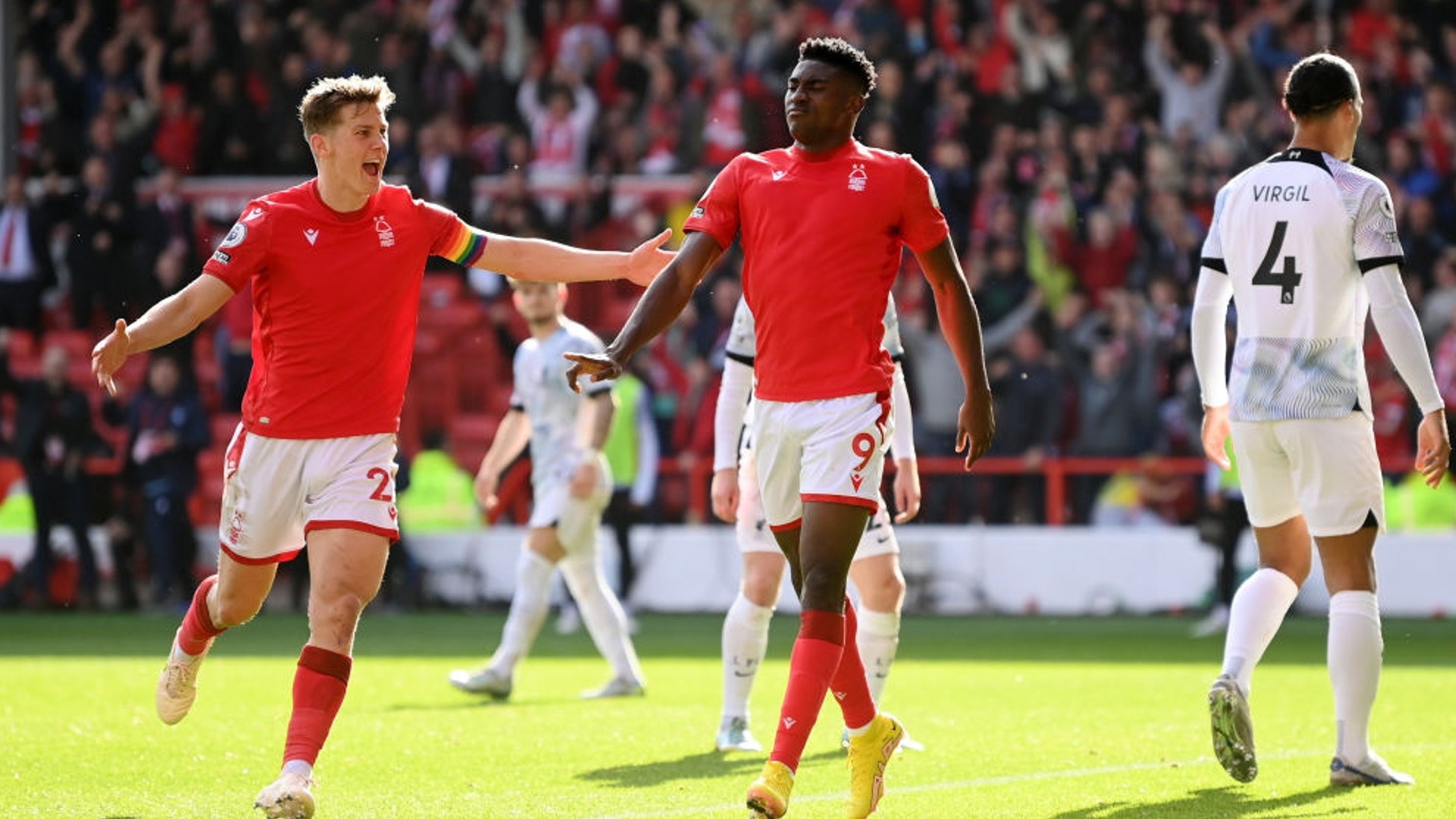 的强有力篮 的强有力篮